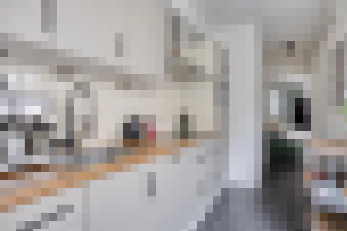 Kleine Berg 76 A Eindhoven thumbnail 45