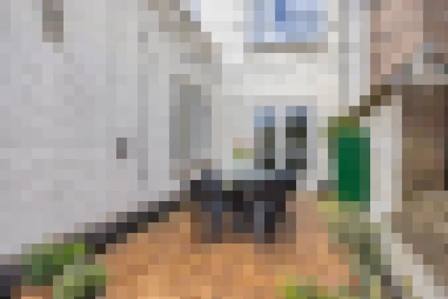 Kleine Berg 76 A Eindhoven thumbnail 58