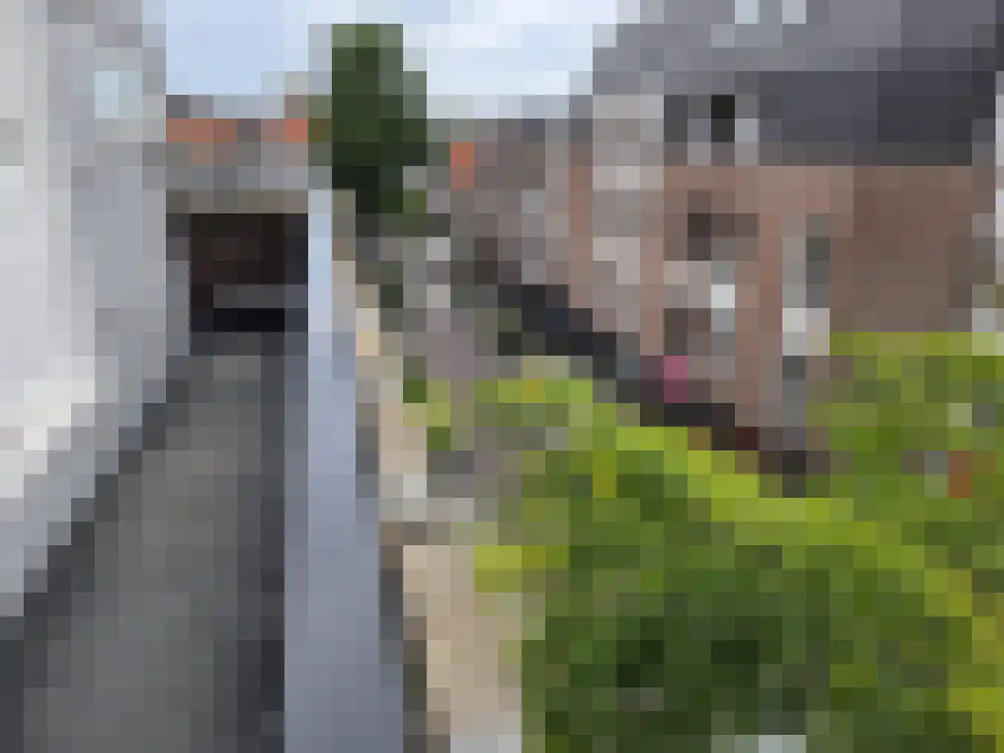 Kleine Berg 76 C Eindhoven thumbnail 25