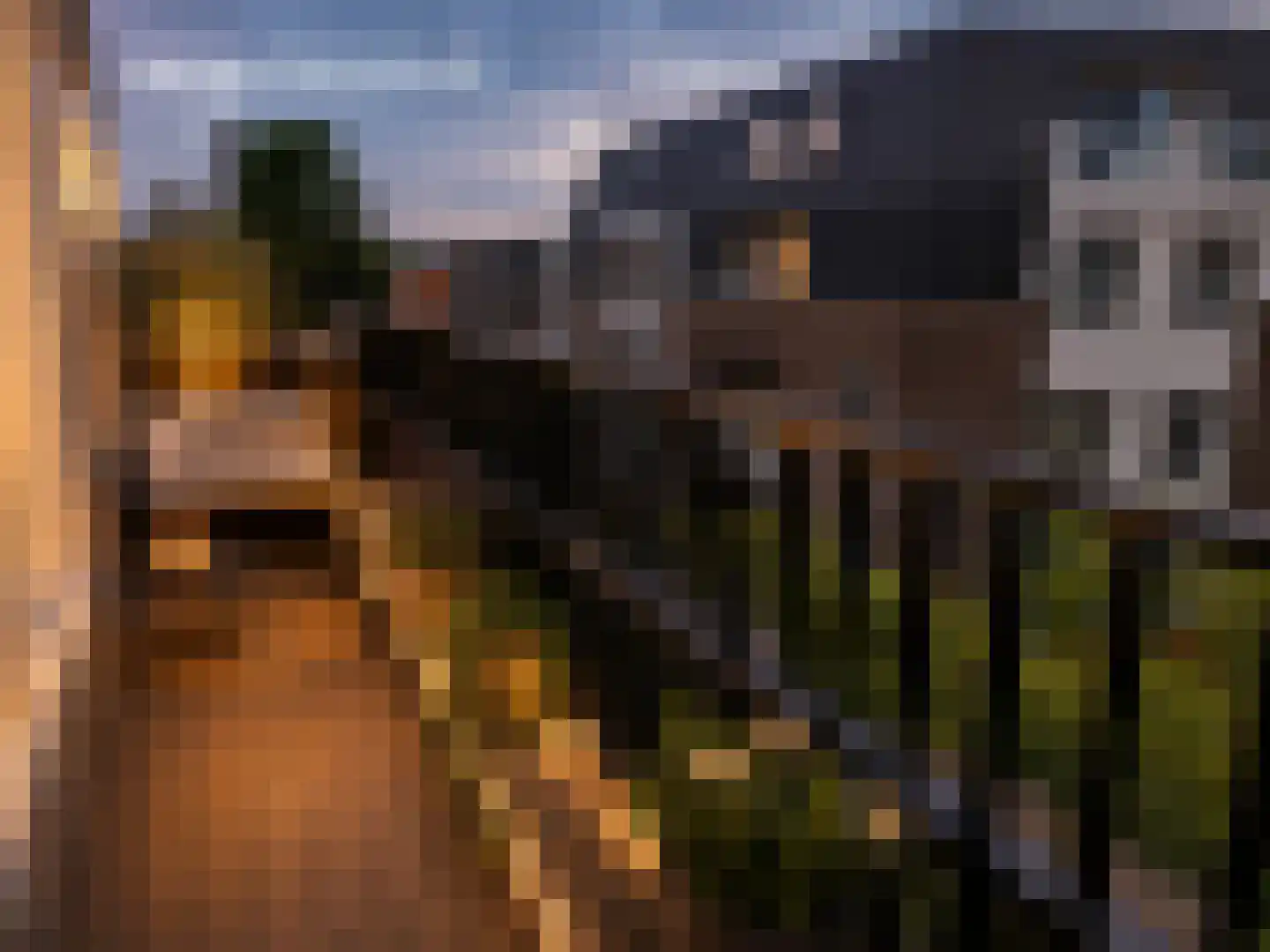 Kleine Berg 76 C Eindhoven thumbnail 28