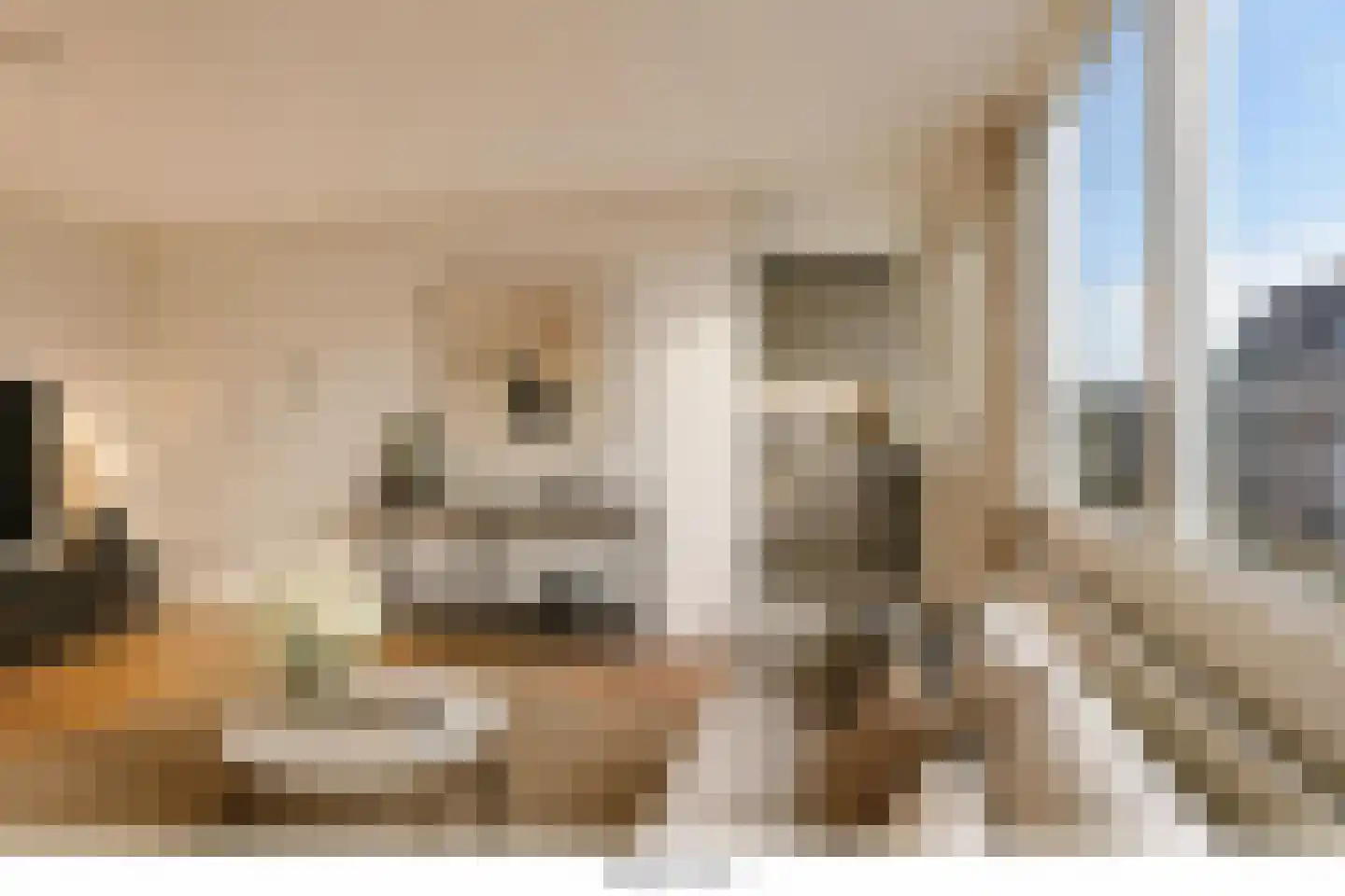 Kleine Berg 76 C Eindhoven thumbnail 4