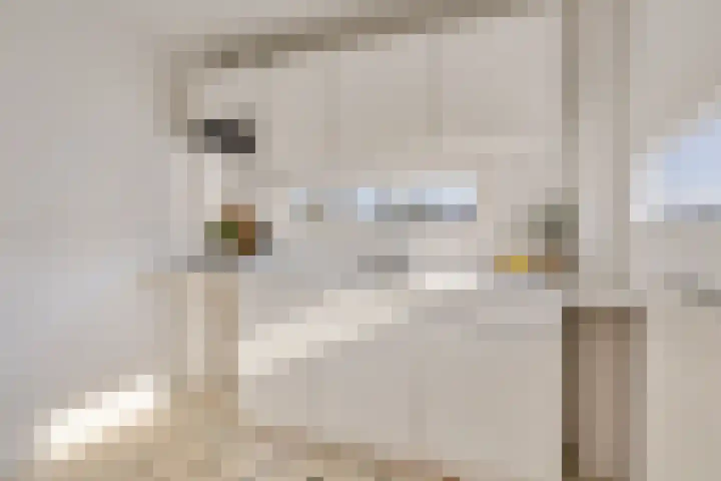 Kleine Berg 76 C Eindhoven thumbnail 4