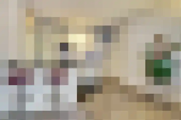 Kleine Berg 87 Eindhoven thumbnail 14
