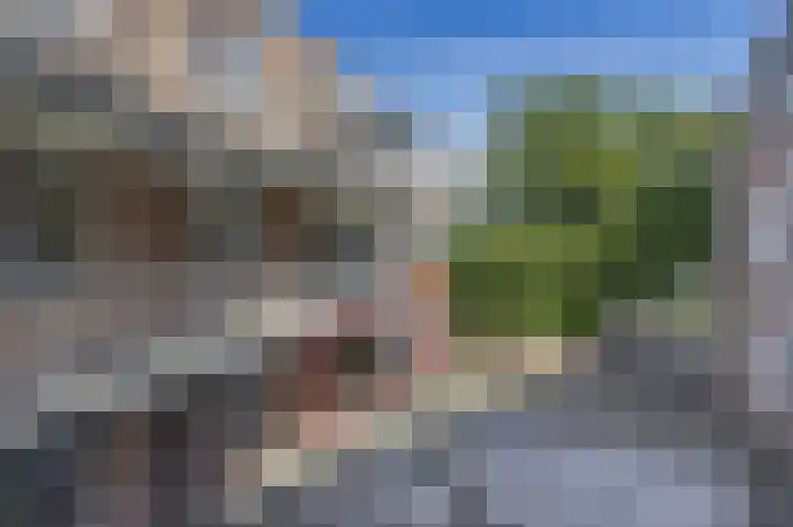 Kleine Berg 87 Eindhoven thumbnail 27