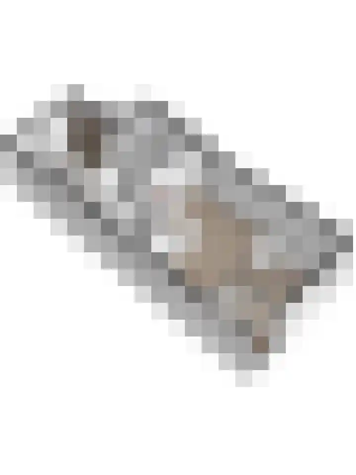 Kleine Berg 87 Eindhoven thumbnail 37