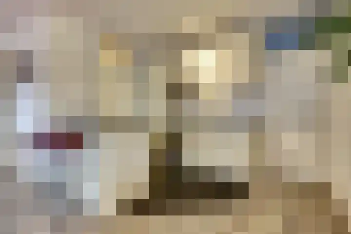 Kleine Berg 87 Eindhoven thumbnail 4
