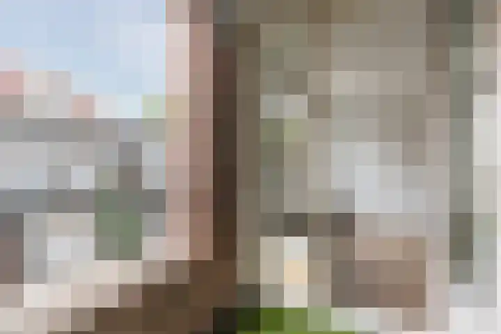 Kleine Berg 93 Eindhoven thumbnail 23