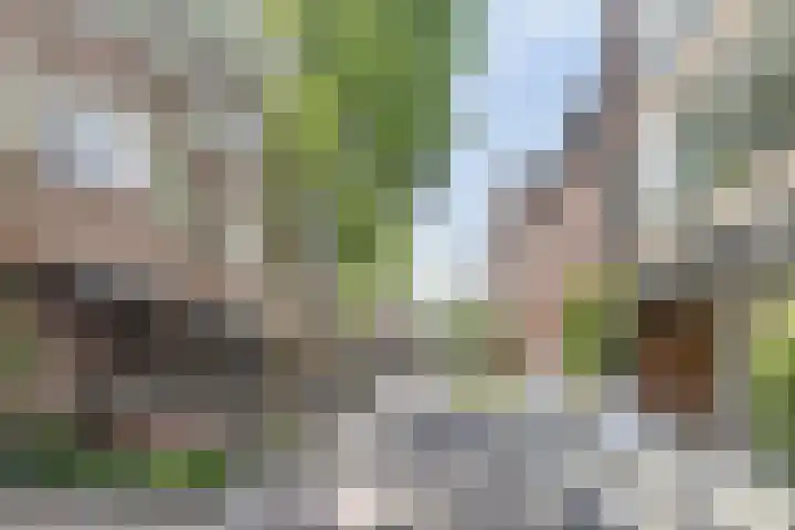 Kleine Berg 93 Eindhoven thumbnail 30