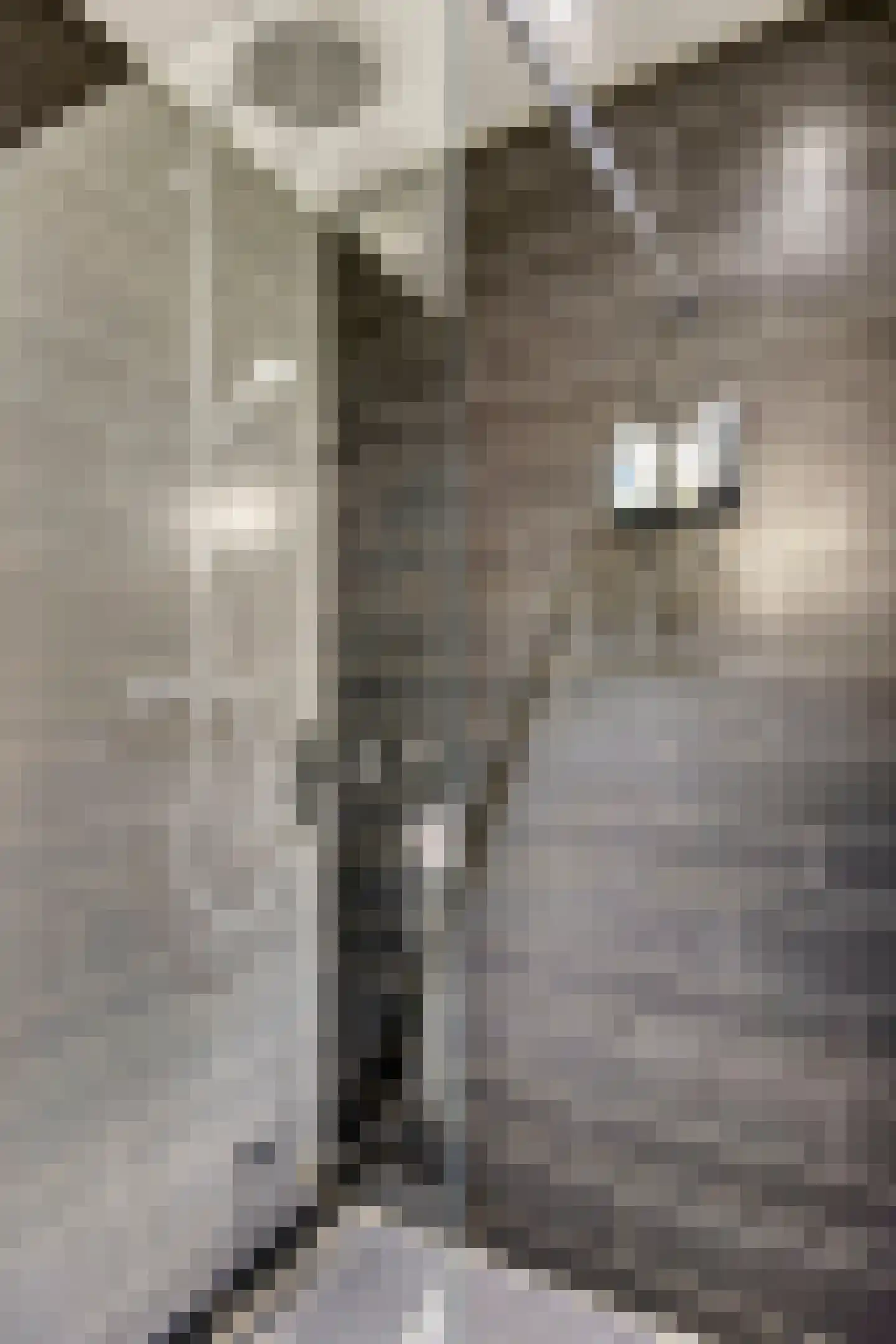 Kleine Berg 99 Eindhoven thumbnail 30