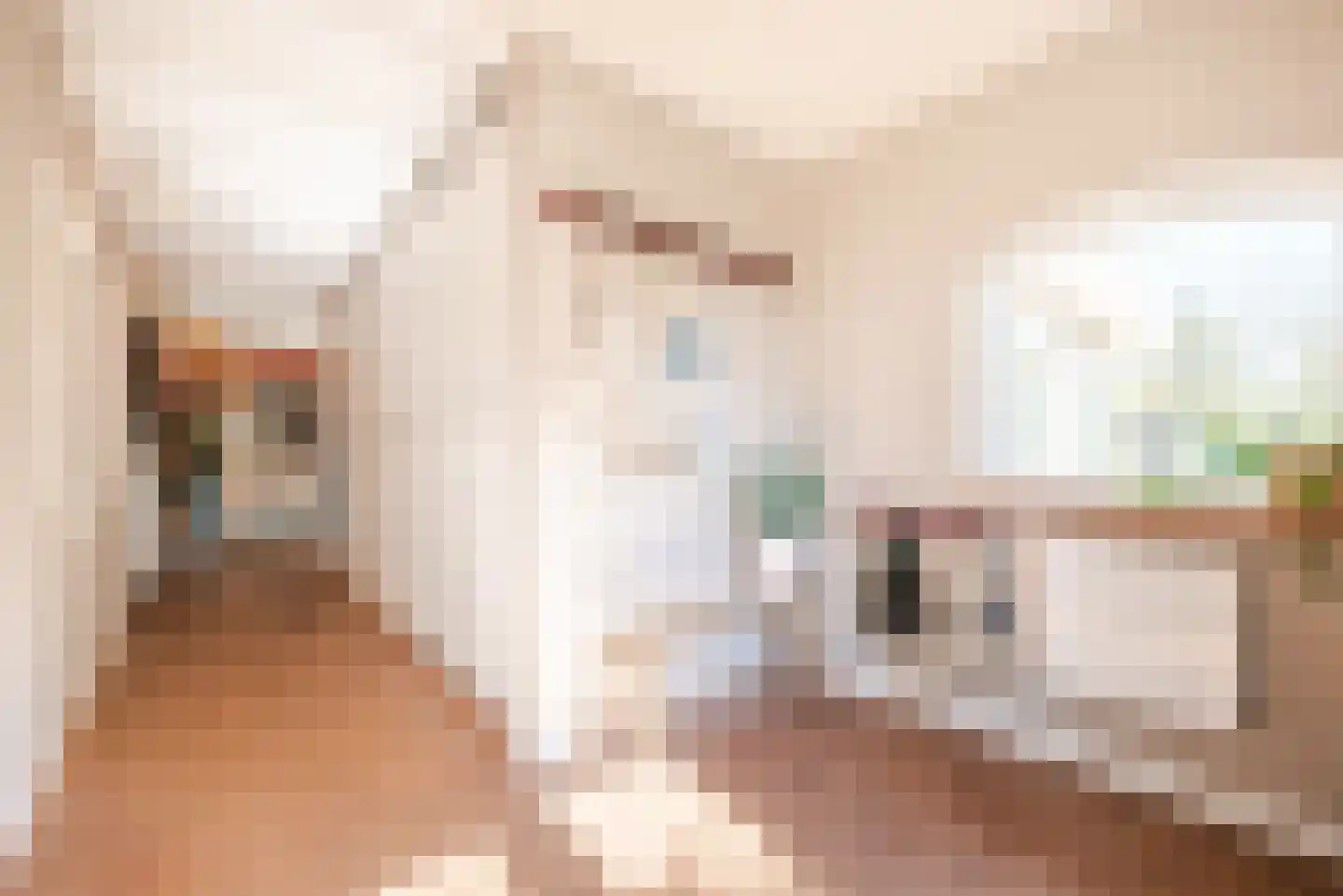 Kleine Bergdijk 15 Asten thumbnail 20
