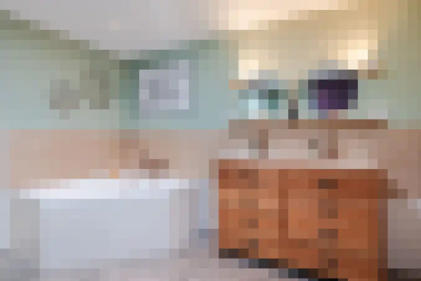 Kleine Bergdijk 15 Asten thumbnail 25