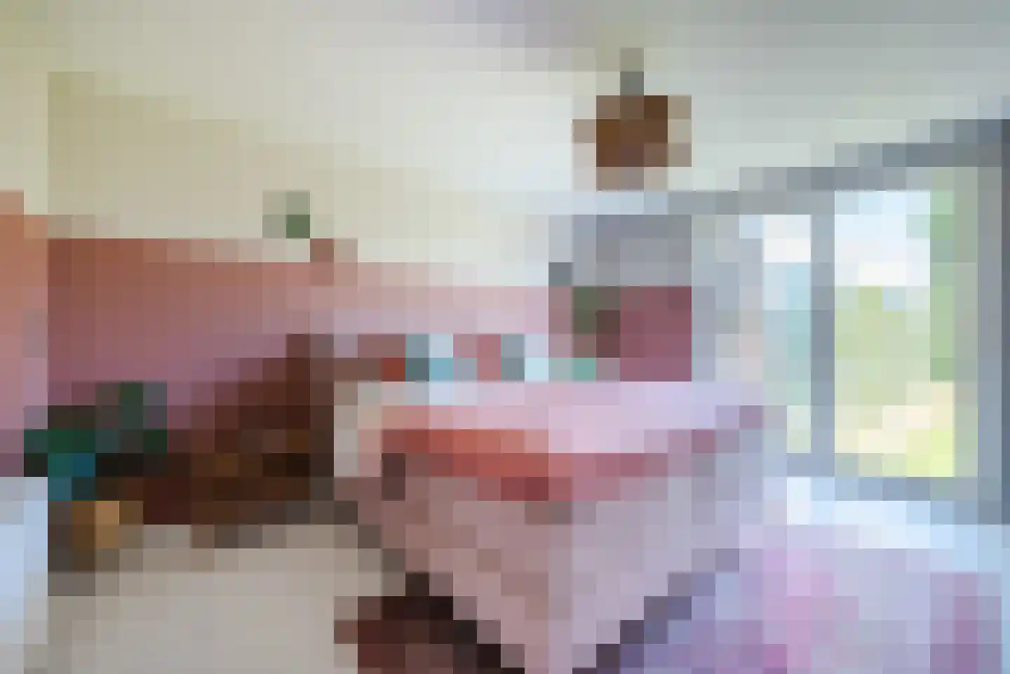 Kleine Bergdijk 15 Asten thumbnail 32