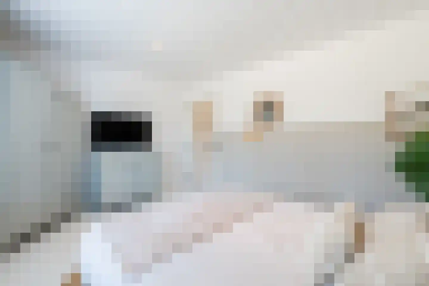 Kleine Bergdijk 15 Asten thumbnail 38
