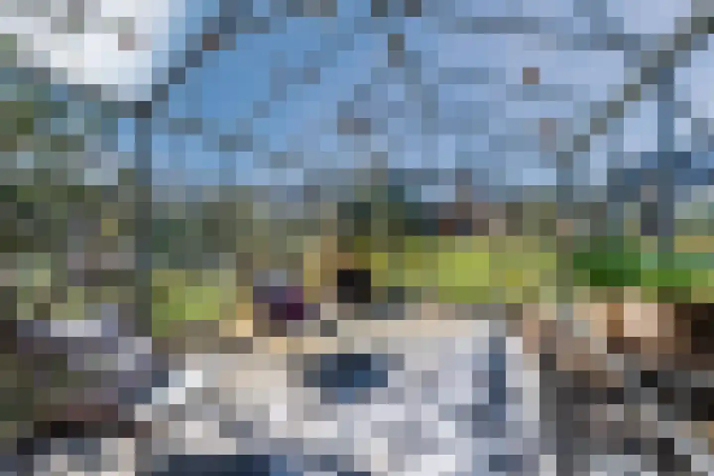 Kleine Bergdijk 15 Asten thumbnail 56