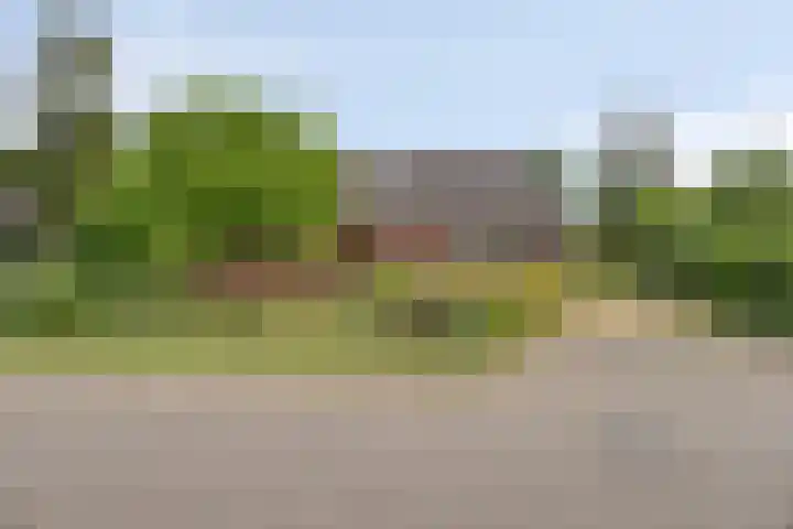 Kleine Bergdijk 17 en Asten