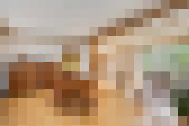 Kleine Bergdijk 17 Asten thumbnail 10
