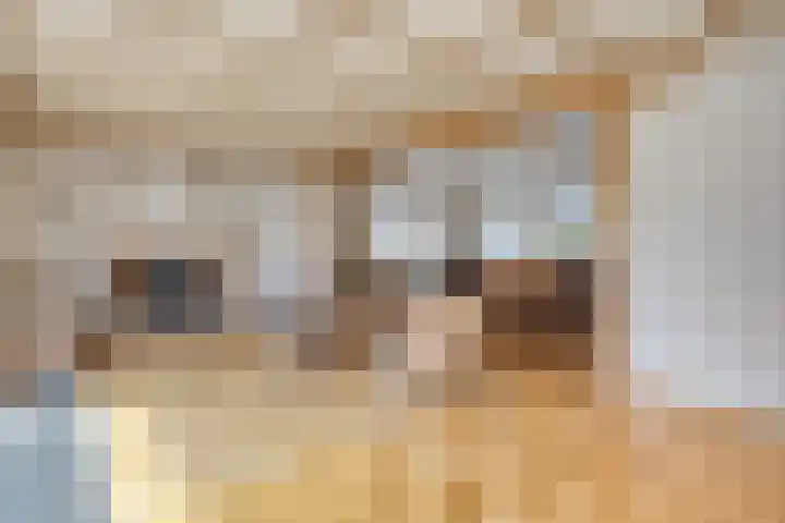 Kleine Bergdijk 17 Asten thumbnail 11