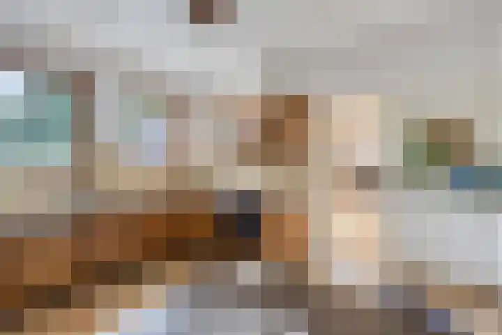 Kleine Bergdijk 17 Asten thumbnail 13