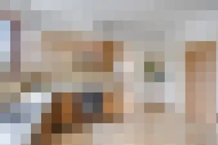 Kleine Bergdijk 17 Asten thumbnail 14
