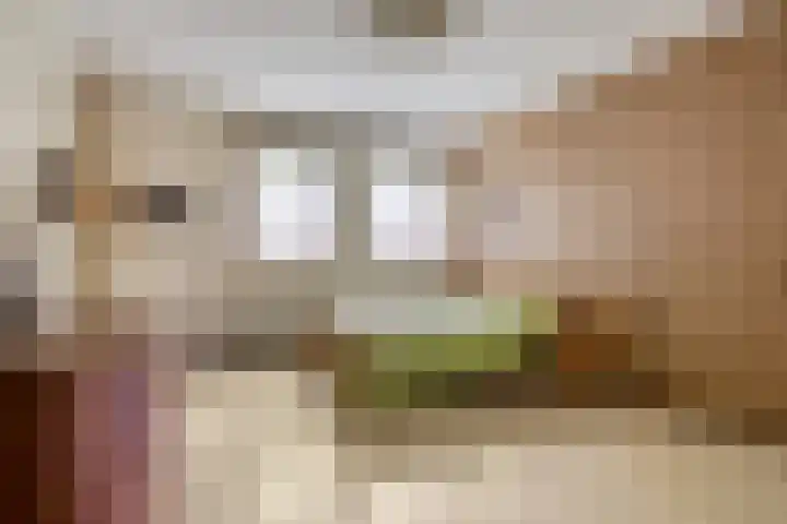Kleine Bergdijk 17 Asten thumbnail 16