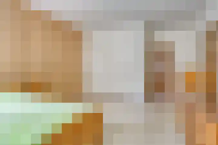 Kleine Bergdijk 17 Asten thumbnail 17