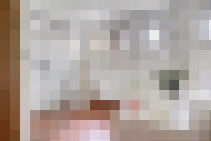 Kleine Bergdijk 17 Asten thumbnail 19