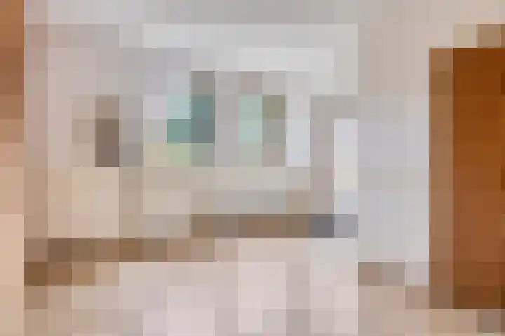 Kleine Bergdijk 17 Asten thumbnail 20