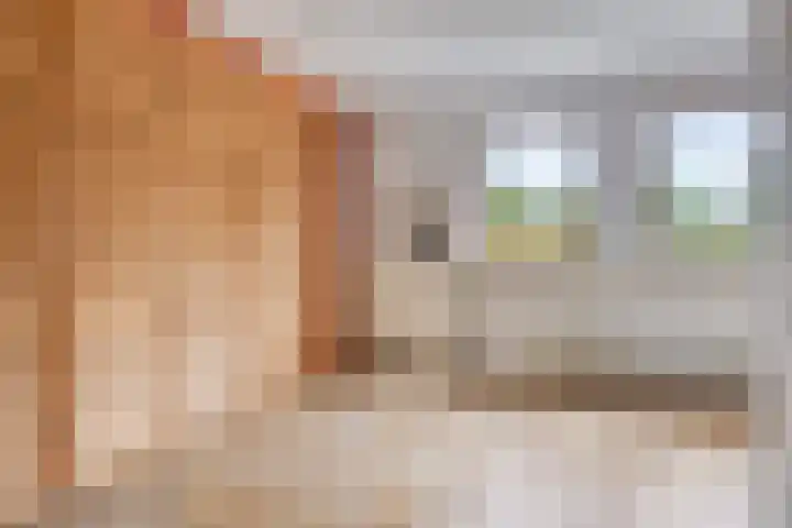 Kleine Bergdijk 17 Asten thumbnail 21