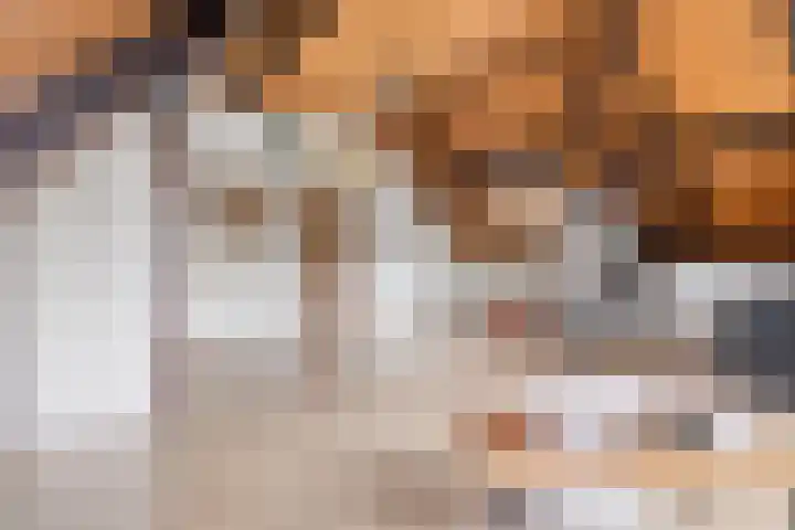 Kleine Bergdijk 17 Asten thumbnail 26