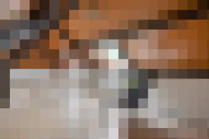 Kleine Bergdijk 17 Asten thumbnail 27