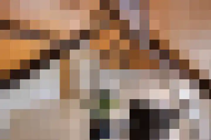 Kleine Bergdijk 17 Asten thumbnail 28
