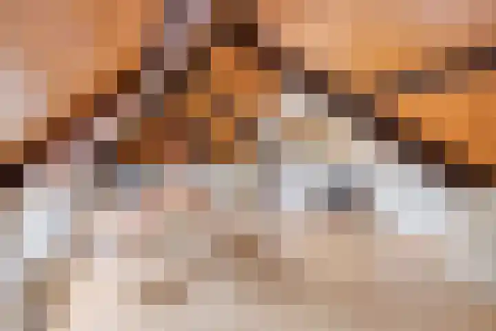 Kleine Bergdijk 17 Asten thumbnail 29