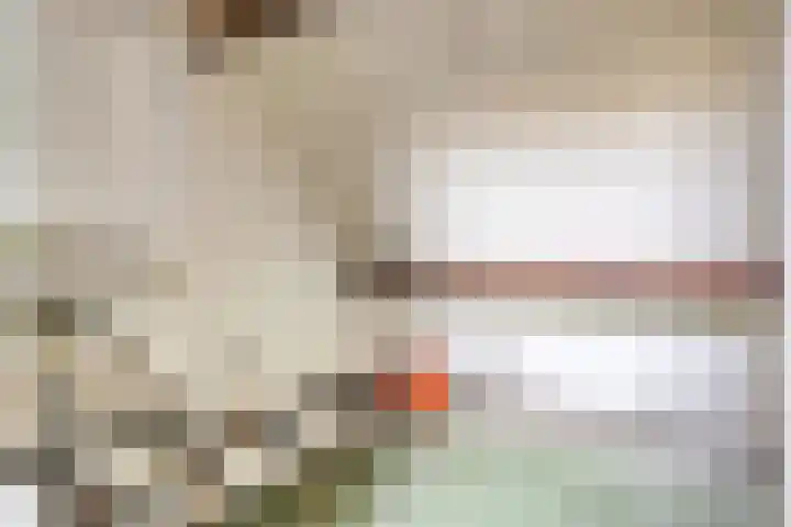 Kleine Bergdijk 17 Asten thumbnail 30