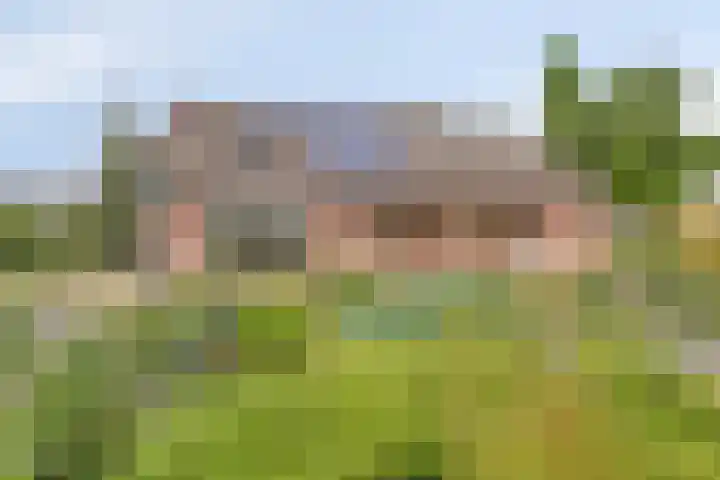 Kleine Bergdijk 17 Asten thumbnail 31