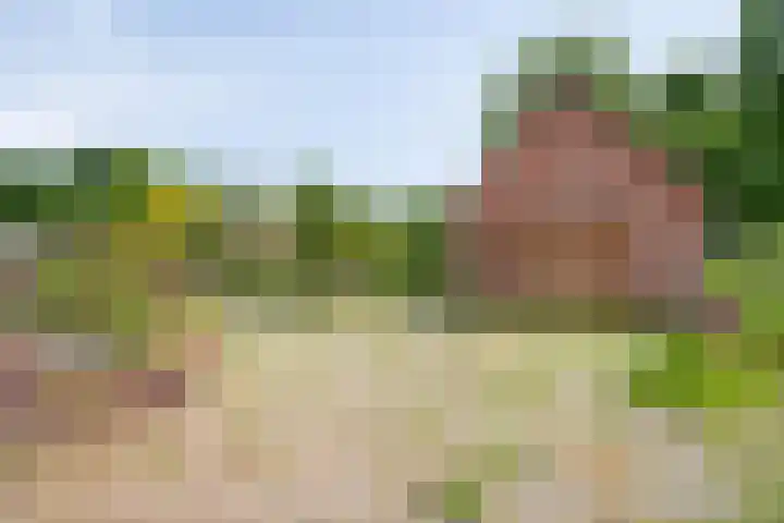 Kleine Bergdijk 17 Asten thumbnail 32