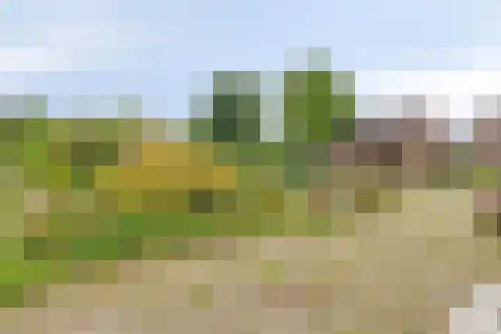 Kleine Bergdijk 17 Asten thumbnail 33