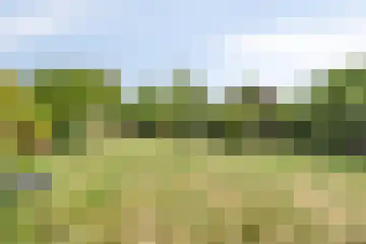 Kleine Bergdijk 17 Asten thumbnail 34