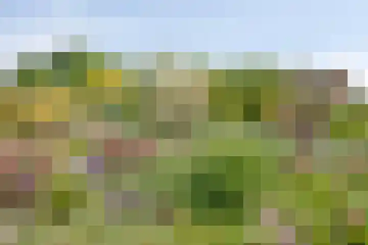 Kleine Bergdijk 17 Asten thumbnail 35