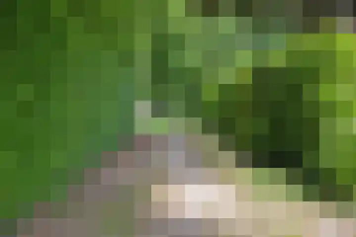 Kleine Bergdijk 17 Asten thumbnail 36