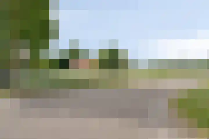 Kleine Bergdijk 17 Asten thumbnail 37