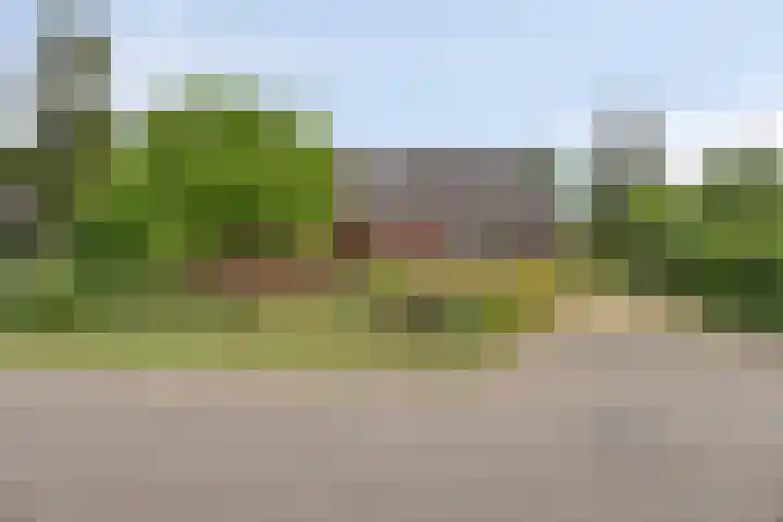 Kleine Bergdijk 17 Asten thumbnail 42