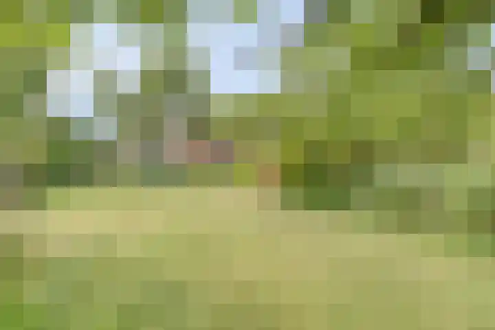 Kleine Bergdijk 17 Asten thumbnail 5