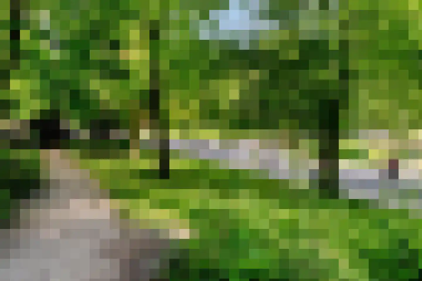 Kleine Bergstraat 27 Groningen thumbnail 21