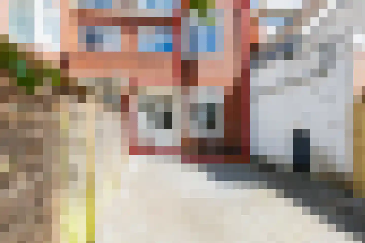 Kleine Bergstraat 34 Groningen thumbnail 4