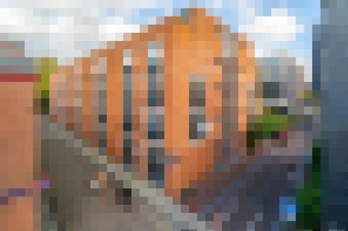 Kleine Bickersstraat 5 Amsterdam thumbnail 25