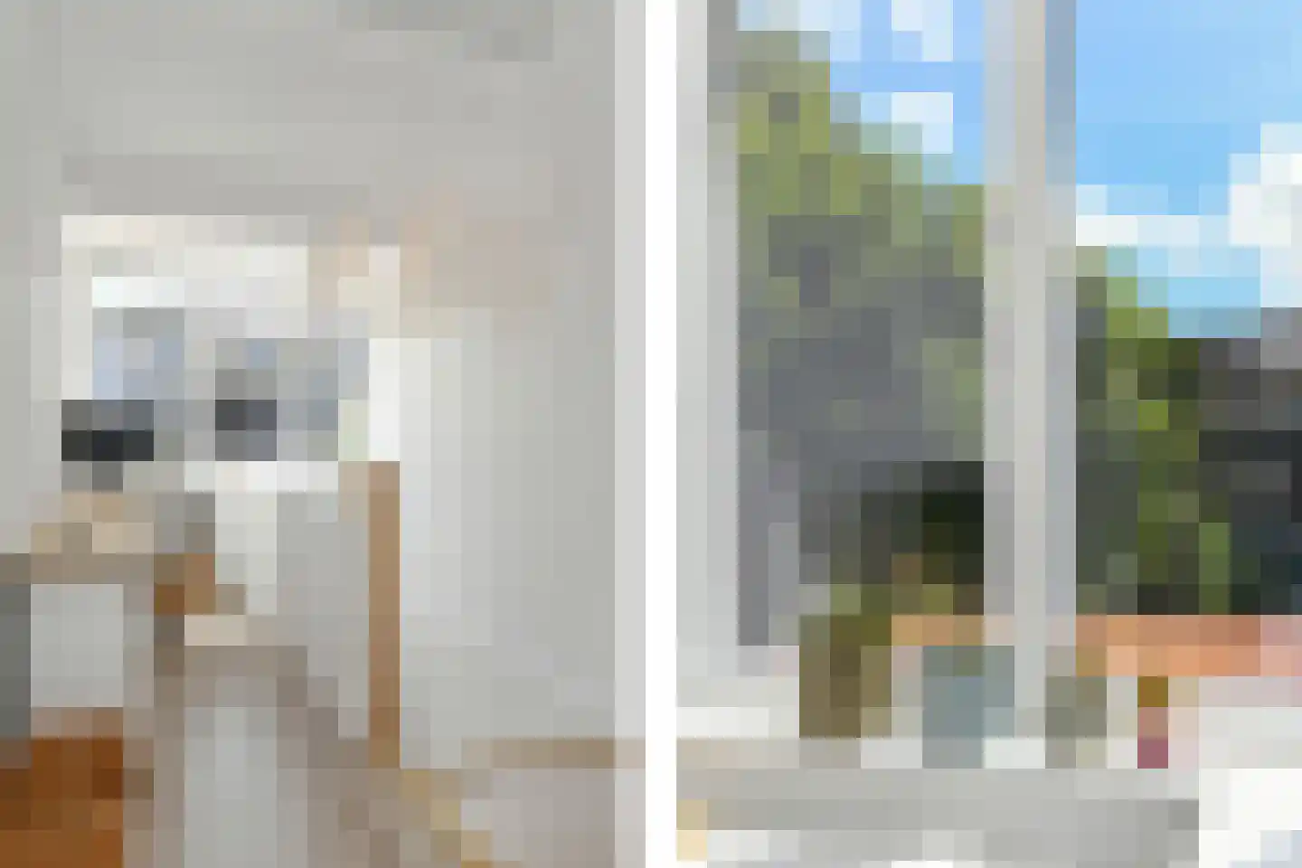 Kleine Bleekstraat 14 Eindhoven thumbnail 18