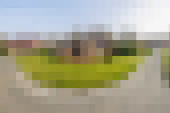 Kleine Borg 11 Stadskanaal thumbnail 10