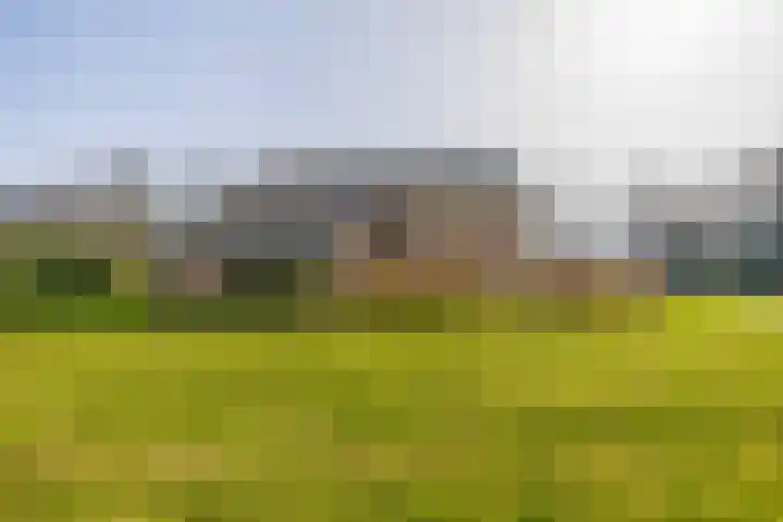 Kleine Borg 11 Stadskanaal thumbnail 11