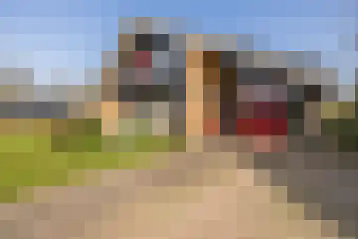 Kleine Borg 11 Stadskanaal thumbnail 15