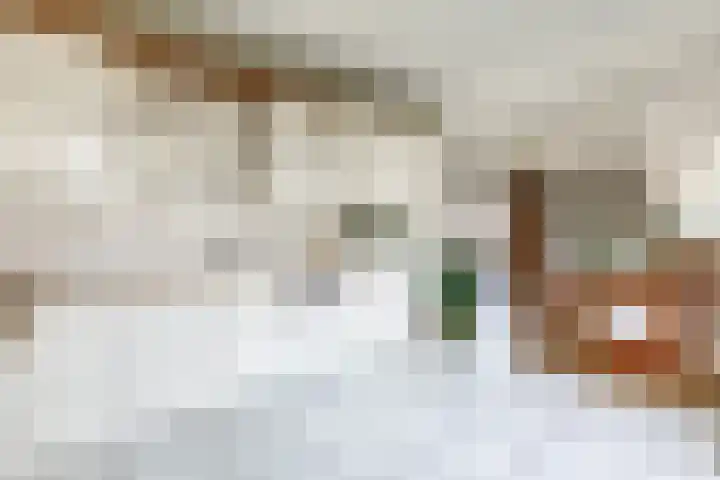 Kleine Borg 11 Stadskanaal thumbnail 33